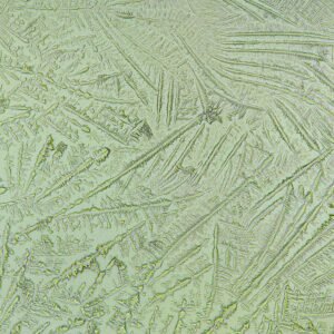 amniotic fluid forming fern-like crystals in fern test