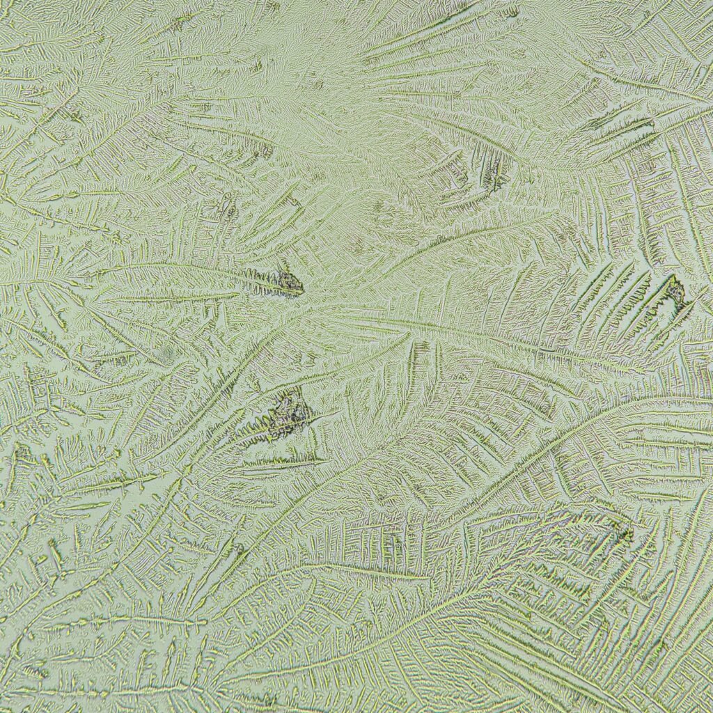 amniotic fluid forming fern-like crystals in fern test
