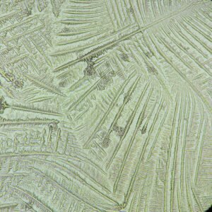 amniotic fluid forming fern-like crystals in fern test