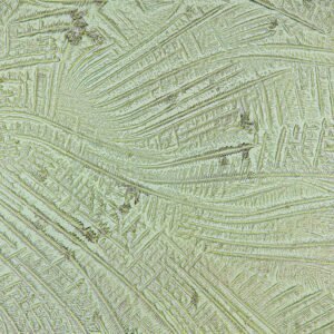 amniotic fluid forming fern-like crystals in fern test