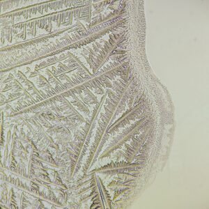 amniotic fluid forming fern-like crystals in fern test