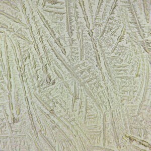 amniotic fluid forming fern-like crystals in fern test