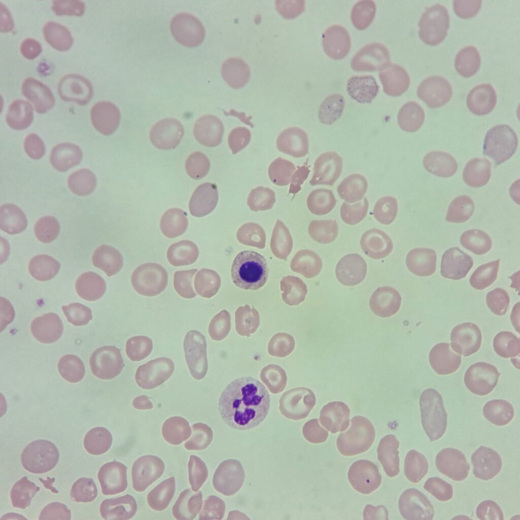 NRBC, Target CElls