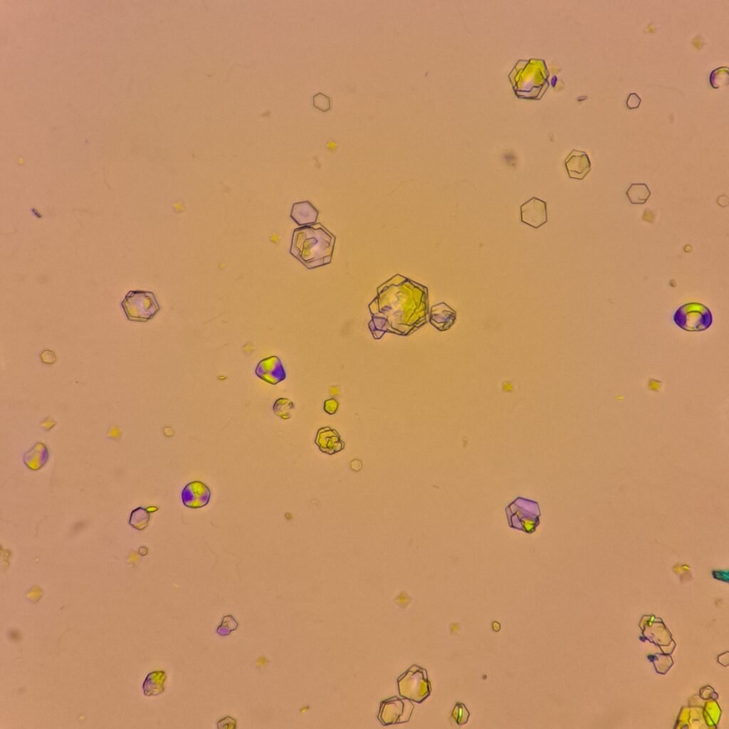 Cystine Crystals, Polarized