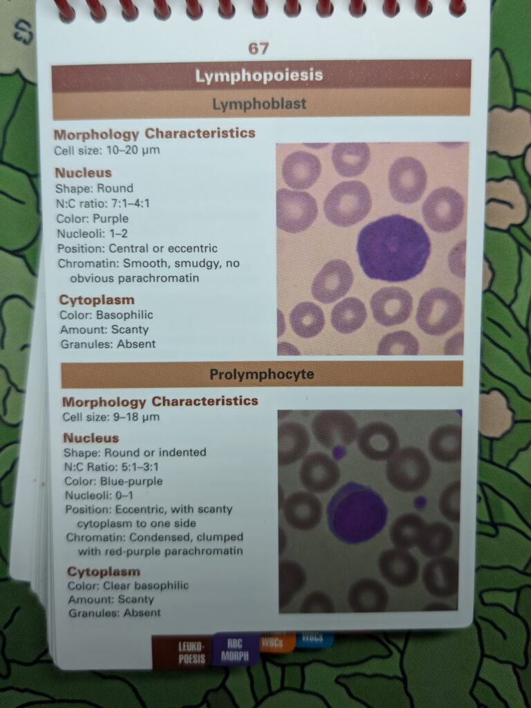 Heme Notes A Pocket Atlas of Cell Morphology 