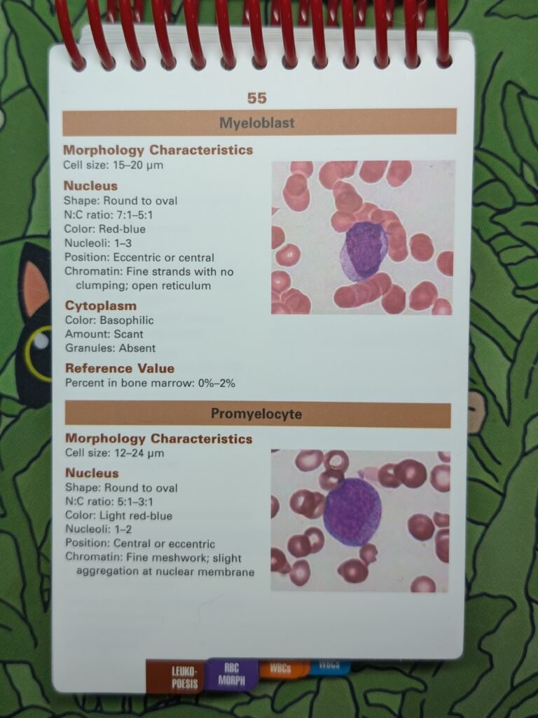 Heme Notes A Pocket Atlas of Cell Morphology 