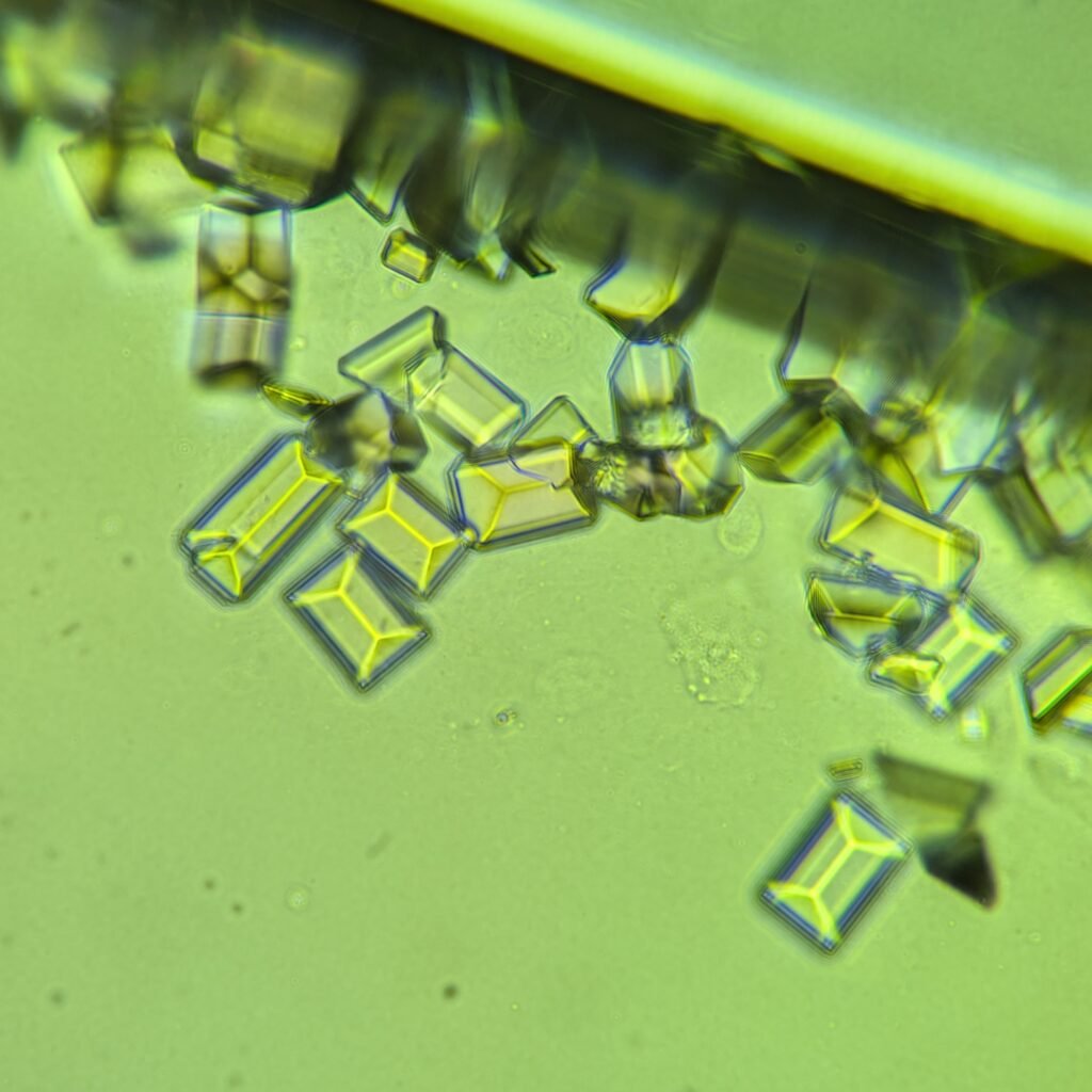 Triple Phosphate Crystals, Coffin Lid 