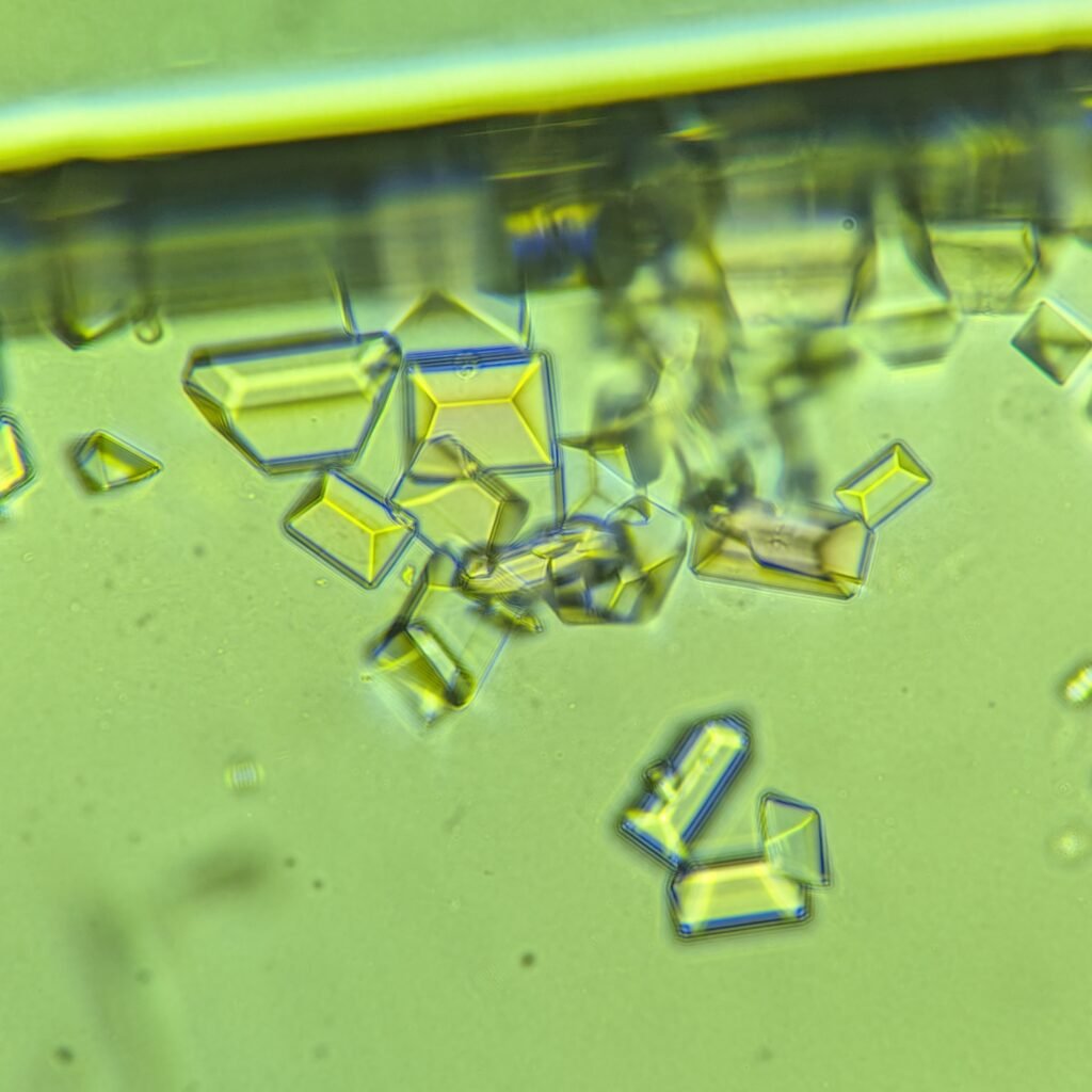 Triple Phosphate Crystals, Coffin Lid 