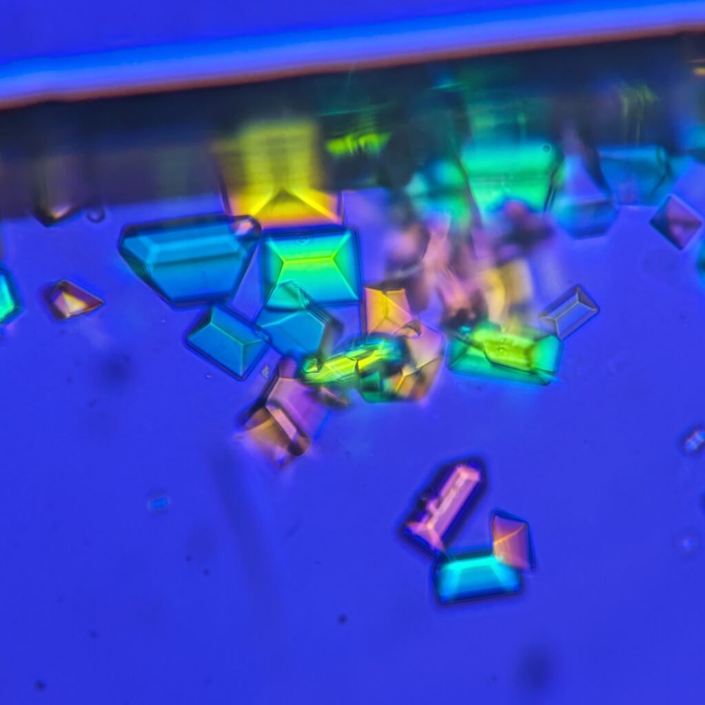 Triple Phosphate Crystals, Coffin Lid (Polarized)