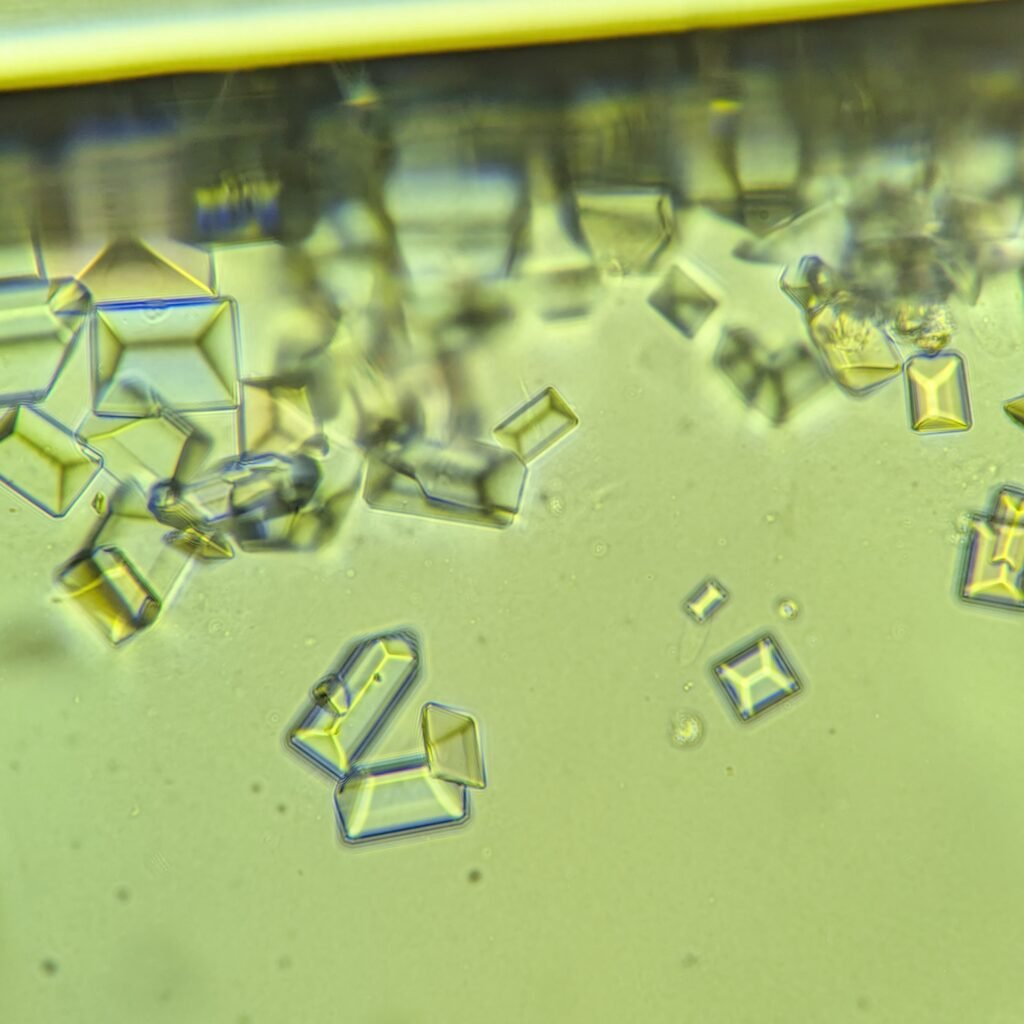 Triple Phosphate Crystals, Coffin Lid 