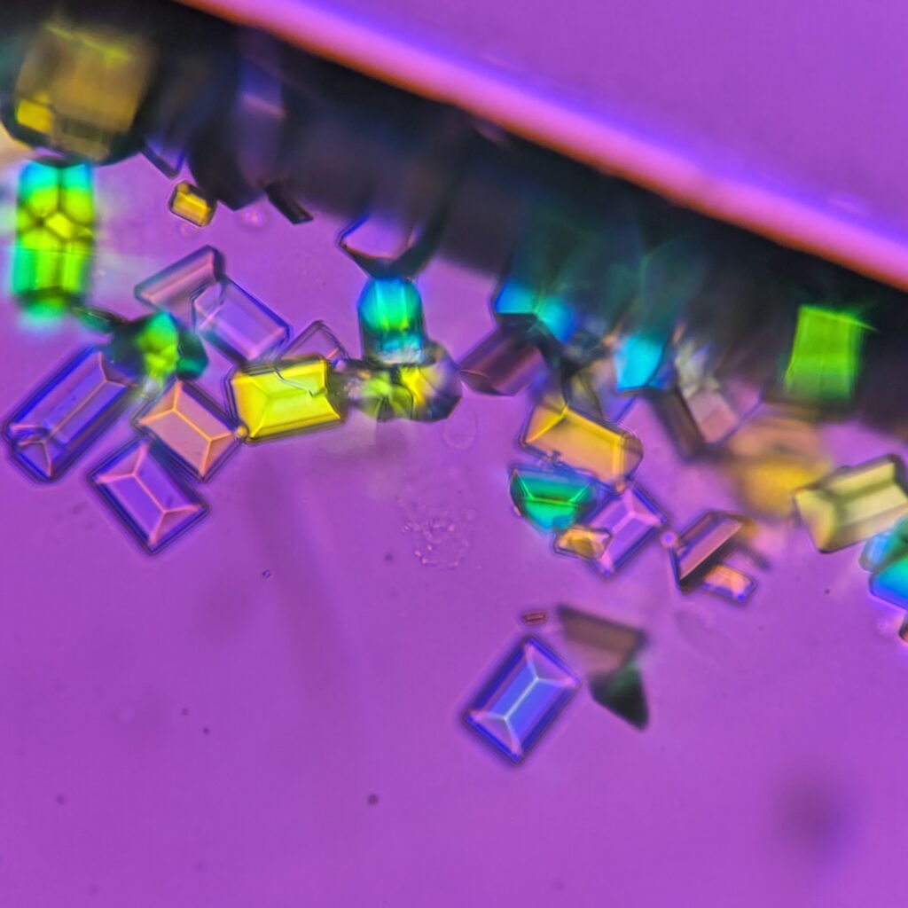Triple Phosphate Crystals, Coffin Lid (Polarized)