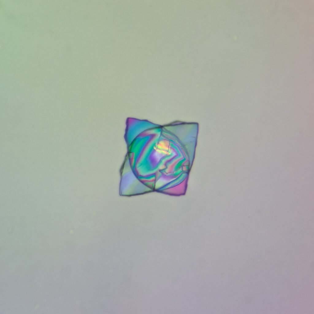 Uric Acid Crystals, Diamond/Rhomboid  & Rosette Form (Polarized)